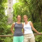 Wir stehen vor dem größten Kauribaum Neuseelands, Tane Mahuta (Maori für Lord of the forest)